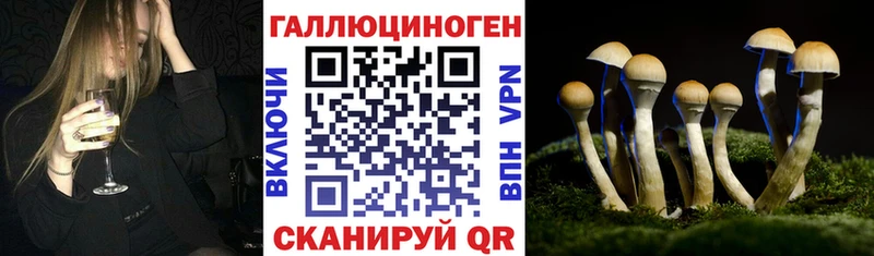 Галлюциногенные грибы Psilocybe  omg   нарко площадка наркотические препараты  Нязепетровск 